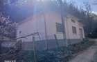 Casă cu 2 camere cu Teren 2000 Mp în Borz - 3