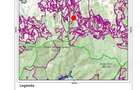 Urgent si ieftin de VINZARE 10 ha teren in comuna VAMA de SATU MARE 10 000 EURO hectarul - 5