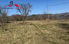 Casa si anexe cu un teren de 7701 mp de vanzare in Stauini Jud Alba - 5