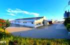 Hale Industriale 3.850 mp Utili + Teren 11.400 mp | Blaj - 5