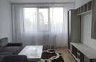 Apartament 3 camere bv TImisoara, Plaza Mall, Romancierilor Dr Taberei - 3