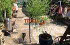 Casa primitoare ?i Crama premiata la cheie in zona viticola Cricau - 14