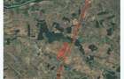 Teren 1000 mp sat BALANU JUD GIURGIU - 4