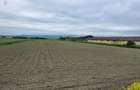 Teren Industrial Brasov - Halchiu cu deschidere la DN 13 - 1