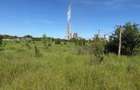 Teren intravilan 6.729 mp | Doua deschideri la strada | Pret: 85/mp | Bariera Valcii, Craiova - 5