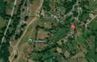 6.605 mp de natura pura refugiu, afacere sau investitie in Candest - 9