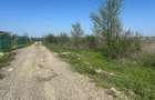 Teren de vanzare in Campineanca
