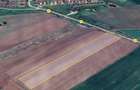 Teren 1.3 Ha Front 44m, Curent, Pozitie Excelenta (Zona Sali Evenimente / Padure) in com. Pischia