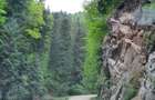 teren de vanzare la munte pentru  cabana - 6