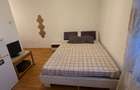 Ofer pentru inchiriere. - 3