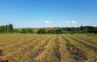 Teren intravilan Adunatii Copaceni | 3.399 mp | Ideal investitie - 9