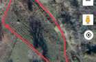 Teren de 5000 mp, în Ciuta - 4