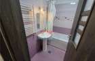 Inchiriere apartament Rezervelor LIDL MT - 7