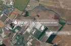 Lion's Head Logistics Park, 2.400 - 39.300 mp, Popesti - Leordeni - 2