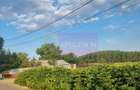 VANZARE TEREN 2150 MP IN SAT TEISORI (GR) - 7