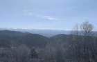 Teren extravilan ?erani Borod Bihor 2,5 ha - 3