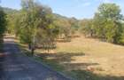 Teren de 4780 mp, în Fornădia