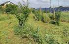 Teren intravilan, Sat Duhovnicesti (Com. Simnicu de Sus) - 1