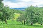 Teren de 1000mp in Bran, satul pitoresc Pestera - 15