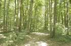 Oportunitate investitie exceptionala ! Pipera 352.400 mp. partial in intravilan - 2
