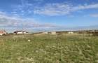 Loc de casa 550 mp Fantanele Arad - 1