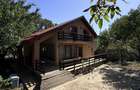 Casa cu livada ?i veranda, la padure acces rapid in Bucure?ti 25 min - 1