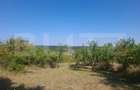 Teren constructii, 2493 mp, zona Central