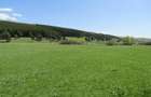 Teren Valea Mare, 4300mp - 4