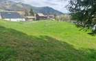 Vindem teren intravilan in Pojorata - Suceava - Bucovina - 3
