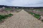 Vand parcela de 500 m2 intravilan Alparea toate utilitatile