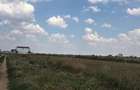 URGENT - Proprietar 420 mp Mega Park 4 (Berceni-Vidra) 26.800 - 3