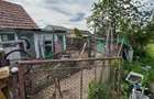 Casă cu 4 camere cu Teren 900 Mp în Chichiș - 6