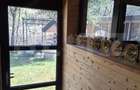 Casa de vacanta 4 camere, 100 mp, teren 768 mp, Dealu Mare, Comuna Marisel - 3