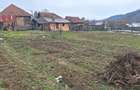 Casa de vanzare si multe articole artizanale - 7