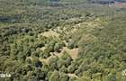 Livada de Nuci, 11 Hectare comasate, Cisnadie, Jud. Sibiu - 2