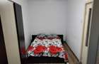 Apartament cu 2 camere langa Insula de Agrement, Carrefour, de inchiriat - 6