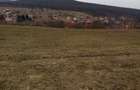 Oportunitate Investitie: Teren 8.000 mp Bistrita Valea Ghinzii - 8