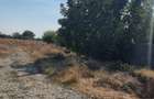 Vand teren intravilan 457mp in Carcea