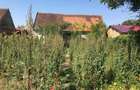 Vand casa cu anexe, curte si gradina (suprafata totala 3444 mp) in Castau, jud. Hunedoara - 10