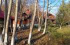 proprietate deosebita,pe malul Teleajenului, de vanzare - 6