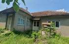 Csa 3 camere in Macea - ID : RH-37664-property - 3