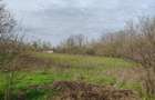 Vand teren intravilan in localitatea Istria jud Constan?a - 4