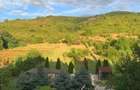 Casa de vanzare in Cuvin, jude?ul Arad | 500 mp utili | 6.650 mp teren | 460.000 - 1