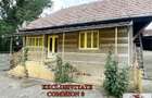Vanzare casa in Galda de Jos - 12