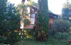 Casa familiala pe 25 de ari de teren - 1