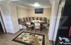 Casa cu 2 camere, 65 mp, teren 2910 mp, in Viile Satu Mare - 10
