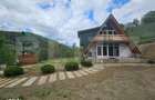 Cabana autentica cu 4565 mp teren, Liniste si Confort, Avram Iancu - 6
