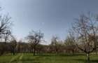 Teren de 6800 mp, în Șișești - 3