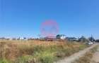 Teren Costinesti 1000 mp, Aproape de Plaja si de Nibiru, Ide - 5