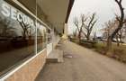Inchiriez spatiu comercial - 3